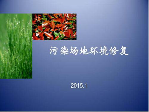 污染場地調(diào)查報(bào)告