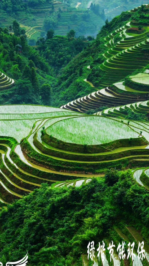 生態(tài)和環(huán)境規(guī)劃、可行性研究報告